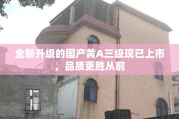 全新升级的国产黄A三级现已上市，品质更胜从前