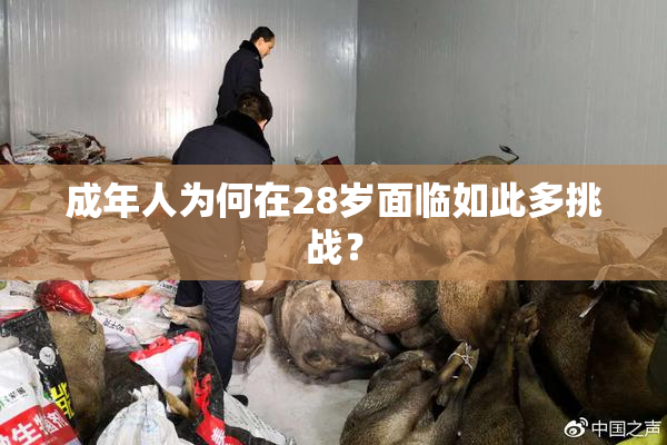 成年人为何在28岁面临如此多挑战？