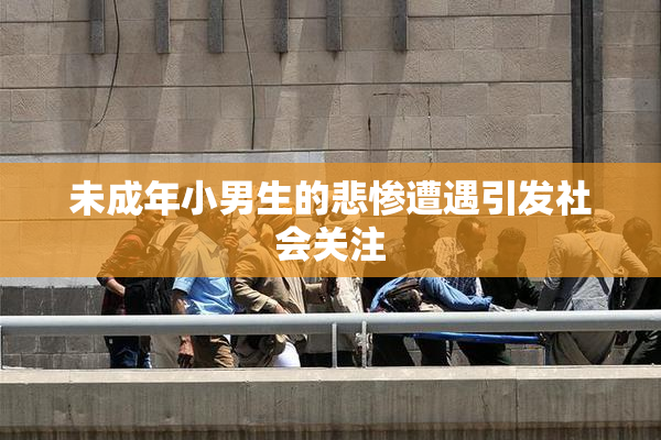 未成年小男生的悲惨遭遇引发社会关注