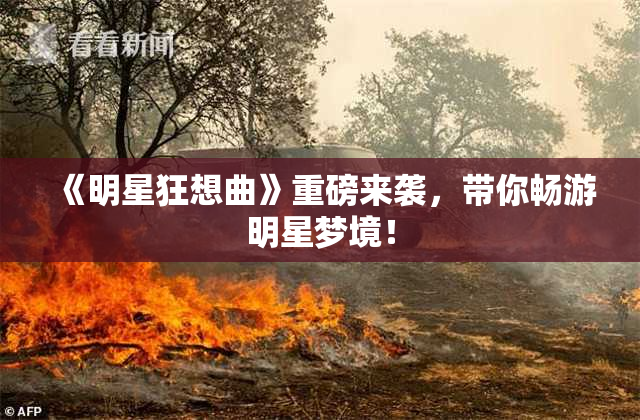 《明星狂想曲》重磅来袭，带你畅游明星梦境！