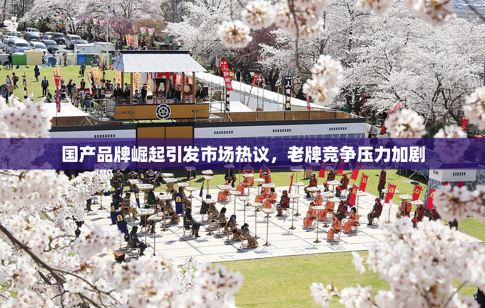 国产品牌崛起引发市场热议，老牌竞争压力加剧