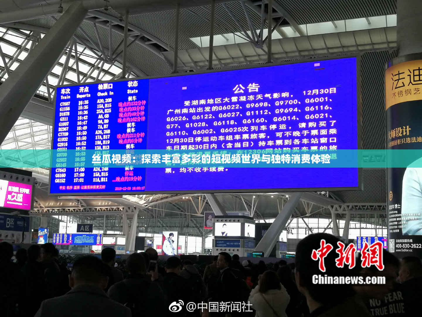 丝瓜视频：探索丰富多彩的短视频世界与独特消费体验