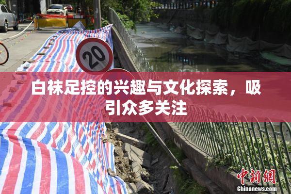 白袜足控的兴趣与文化探索，吸引众多关注