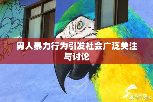 男人暴力行为引发社会广泛关注与讨论