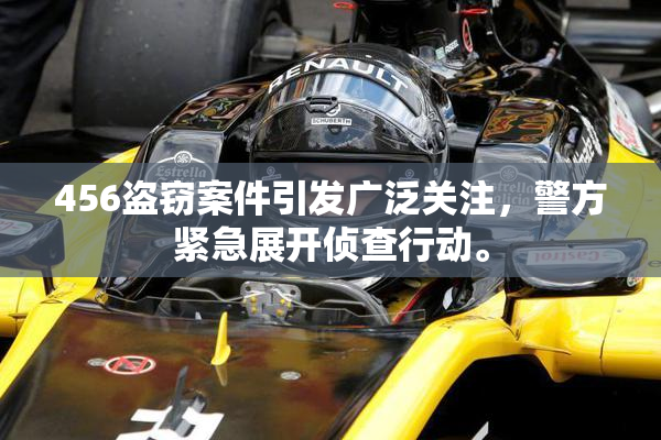 456盗窃案件引发广泛关注，警方紧急展开侦查行动。