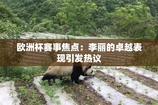 欧洲杯赛事焦点：李丽的卓越表现引发热议
