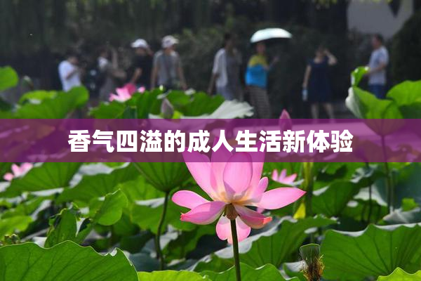香气四溢的成人生活新体验