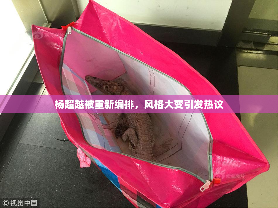 杨超越被重新编排，风格大变引发热议