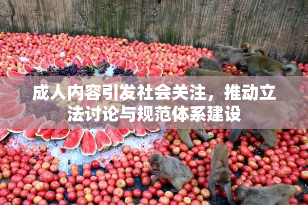 成人内容引发社会关注，推动立法讨论与规范体系建设
