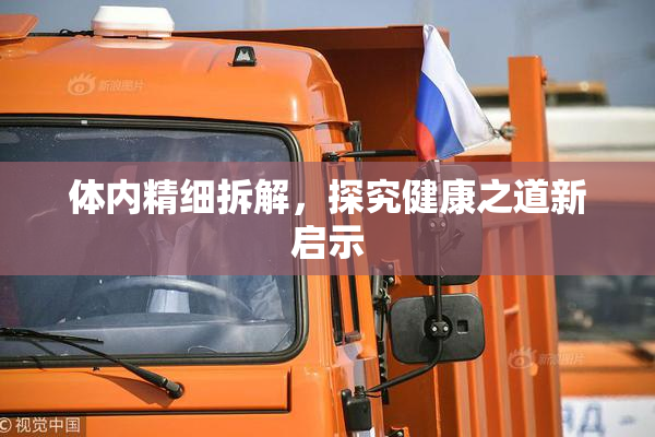 体内精细拆解，探究健康之道新启示