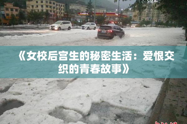 《女校后宫生的秘密生活：爱恨交织的青春故事》