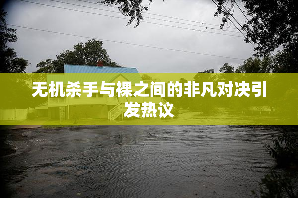 无机杀手与裸之间的非凡对决引发热议