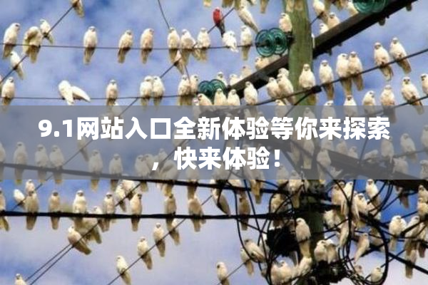 9.1网站入口全新体验等你来探索，快来体验！
