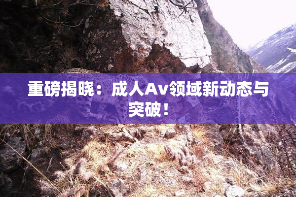 重磅揭晓：成人Av领域新动态与突破！