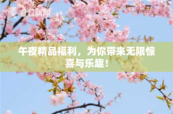 午夜精品福利，为你带来无限惊喜与乐趣！