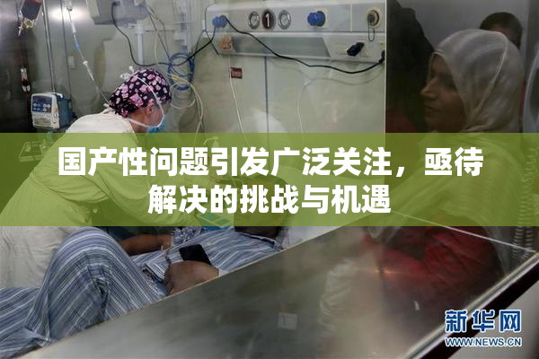 国产性问题引发广泛关注，亟待解决的挑战与机遇