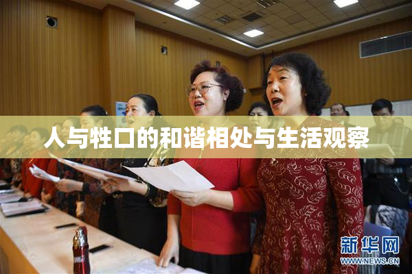 人与牲口的和谐相处与生活观察