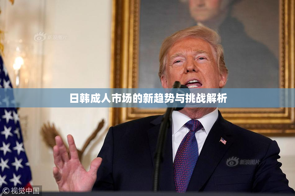 日韩成人市场的新趋势与挑战解析