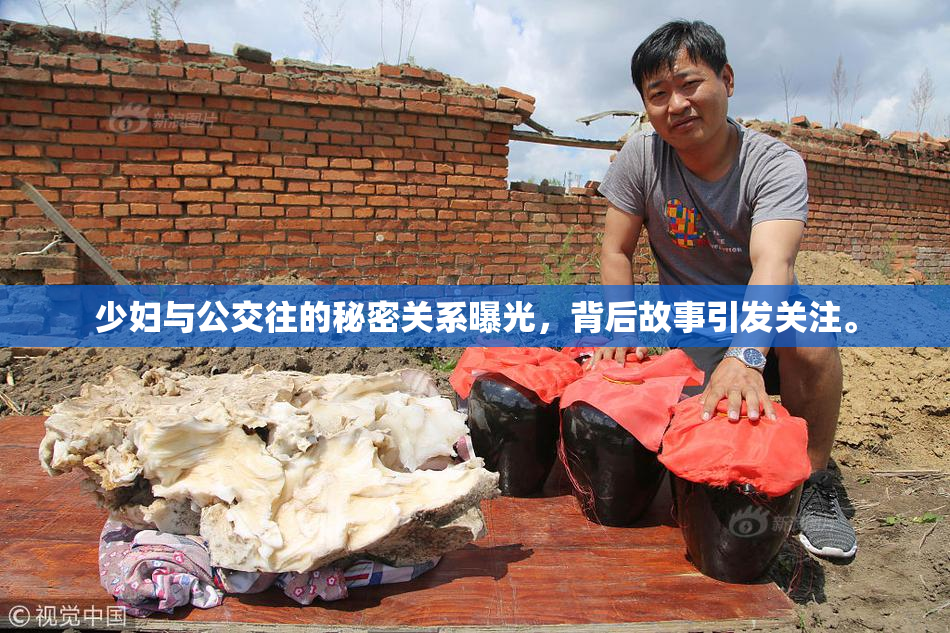 少妇与公交往的秘密关系曝光，背后故事引发关注。