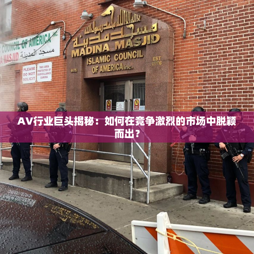 AV行业巨头揭秘：如何在竞争激烈的市场中脱颖而出？