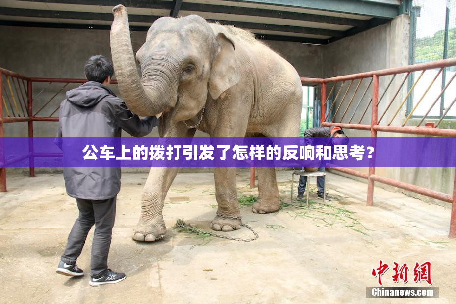 公车上的拨打引发了怎样的反响和思考？
