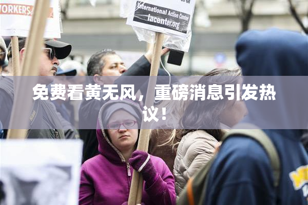 免费看黄无风，重磅消息引发热议！