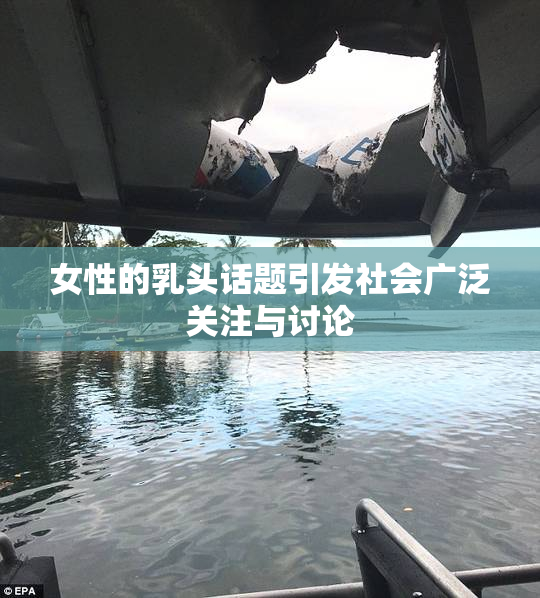 女性的乳头话题引发社会广泛关注与讨论