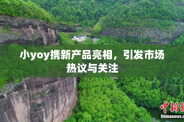小yoy携新产品亮相，引发市场热议与关注