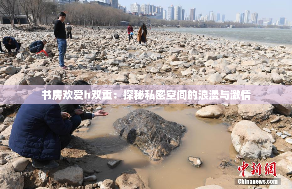 书房欢爱h双重：探秘私密空间的浪漫与激情