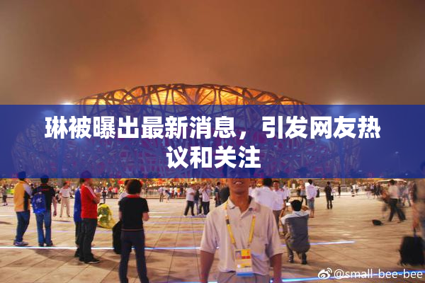 琳被曝出最新消息，引发网友热议和关注