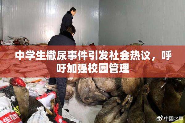 中学生撒尿事件引发社会热议，呼吁加强校园管理