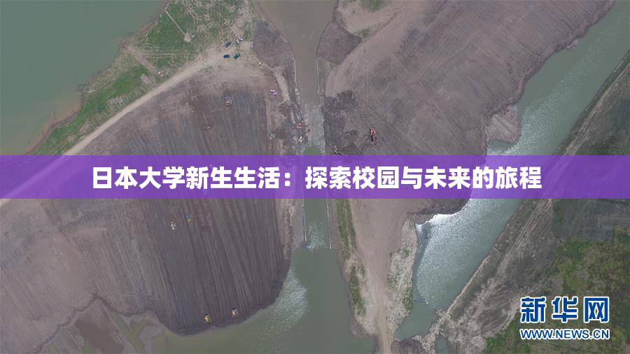 日本大学新生生活：探索校园与未来的旅程