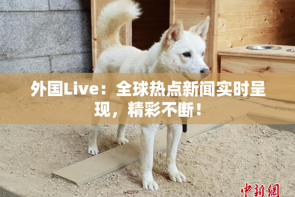外国Live：全球热点新闻实时呈现，精彩不断！