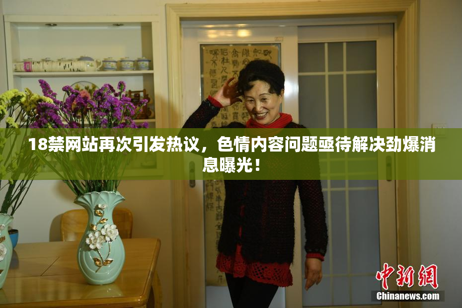 18禁网站再次引发热议，色情内容问题亟待解决劲爆消息曝光！