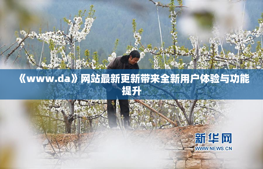 《www.da》网站最新更新带来全新用户体验与功能提升