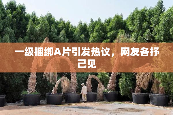 一级捆绑A片引发热议，网友各抒己见