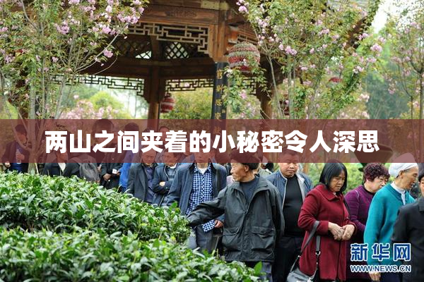 两山之间夹着的小秘密令人深思