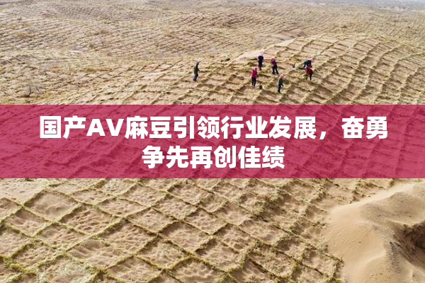 国产AV麻豆引领行业发展，奋勇争先再创佳绩