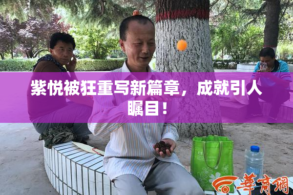 紫悦被狂重写新篇章，成就引人瞩目！