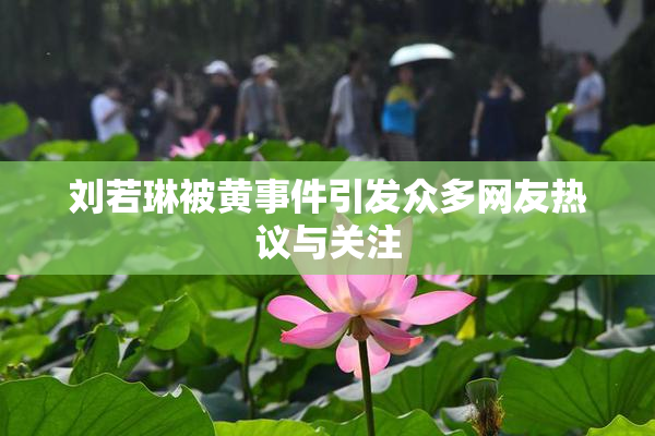 刘若琳被黄事件引发众多网友热议与关注