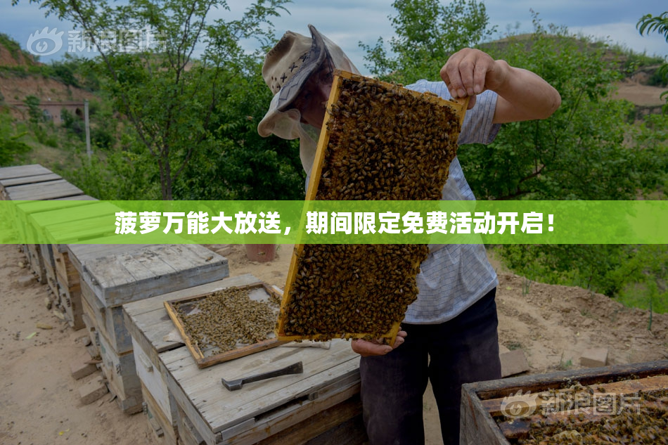 菠萝万能大放送，期间限定免费活动开启！
