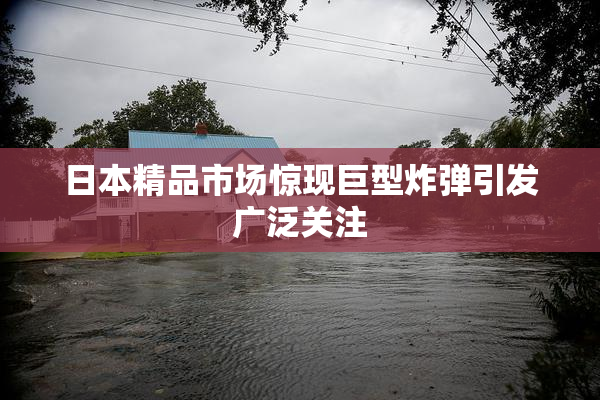 日本精品市场惊现巨型炸弹引发广泛关注