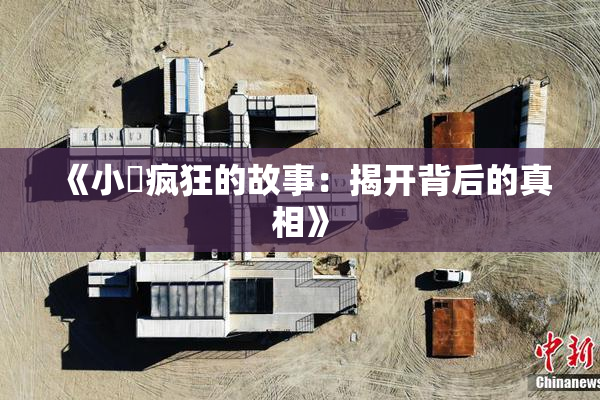 《小泬疯狂的故事：揭开背后的真相》