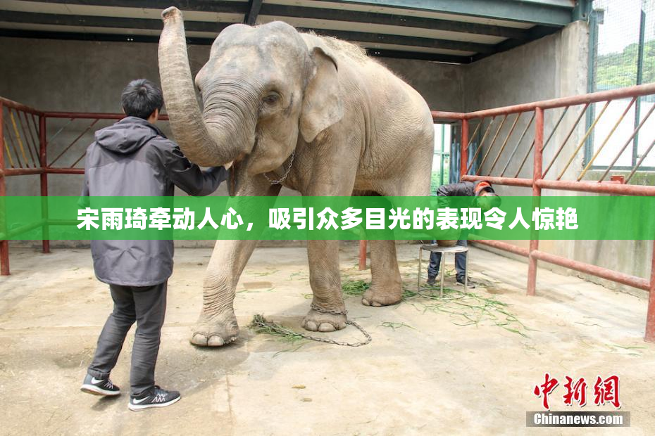 宋雨琦牵动人心，吸引众多目光的表现令人惊艳