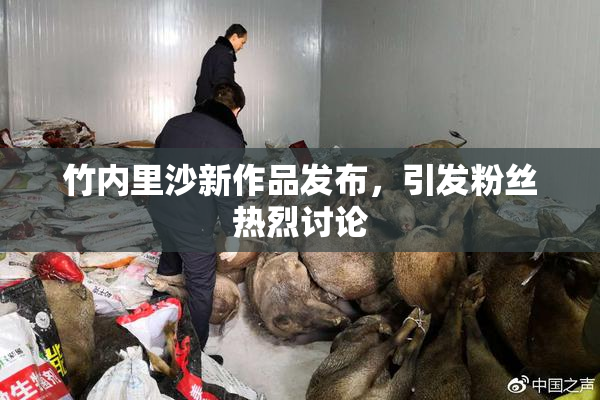 竹内里沙新作品发布，引发粉丝热烈讨论