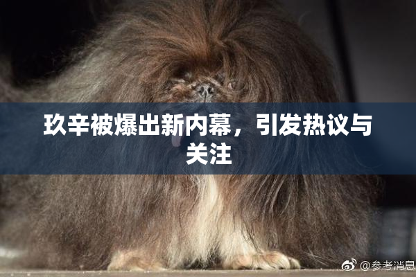 玖辛被爆出新内幕，引发热议与关注