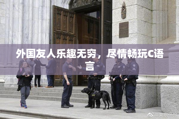 外国友人乐趣无穷，尽情畅玩C语言