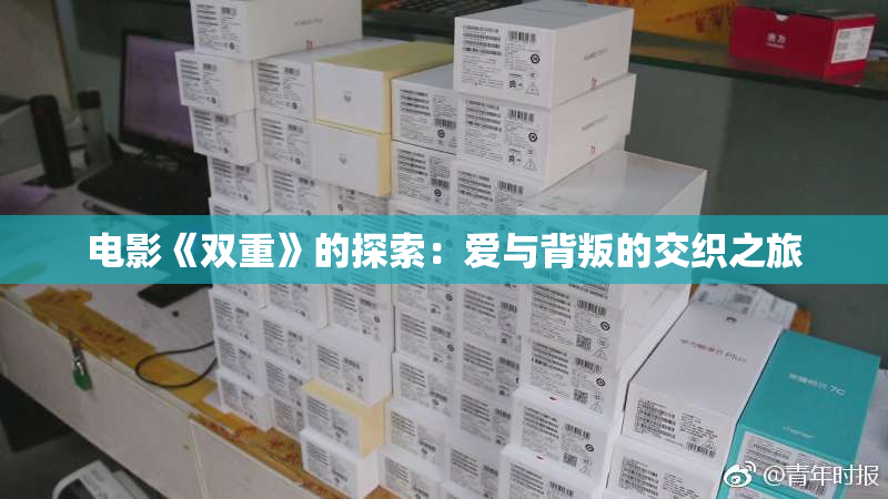 电影《双重》的探索：爱与背叛的交织之旅