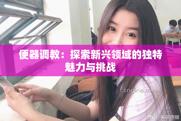 便器调教：探索新兴领域的独特魅力与挑战