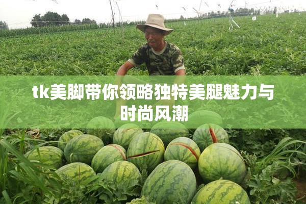 tk美脚带你领略独特美腿魅力与时尚风潮